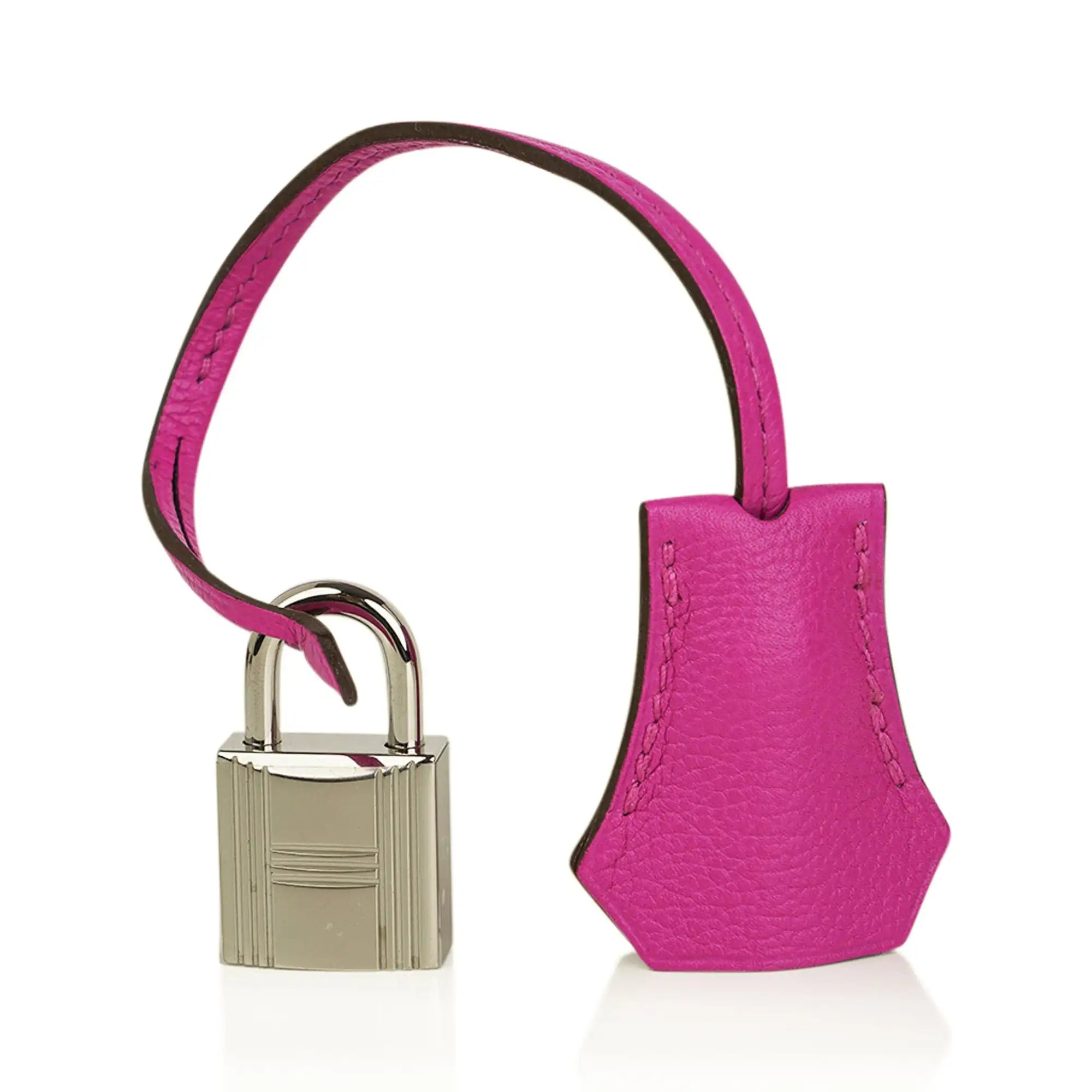Birkin 25 Bag Magnolia Togo Leather with Palladium Hardware