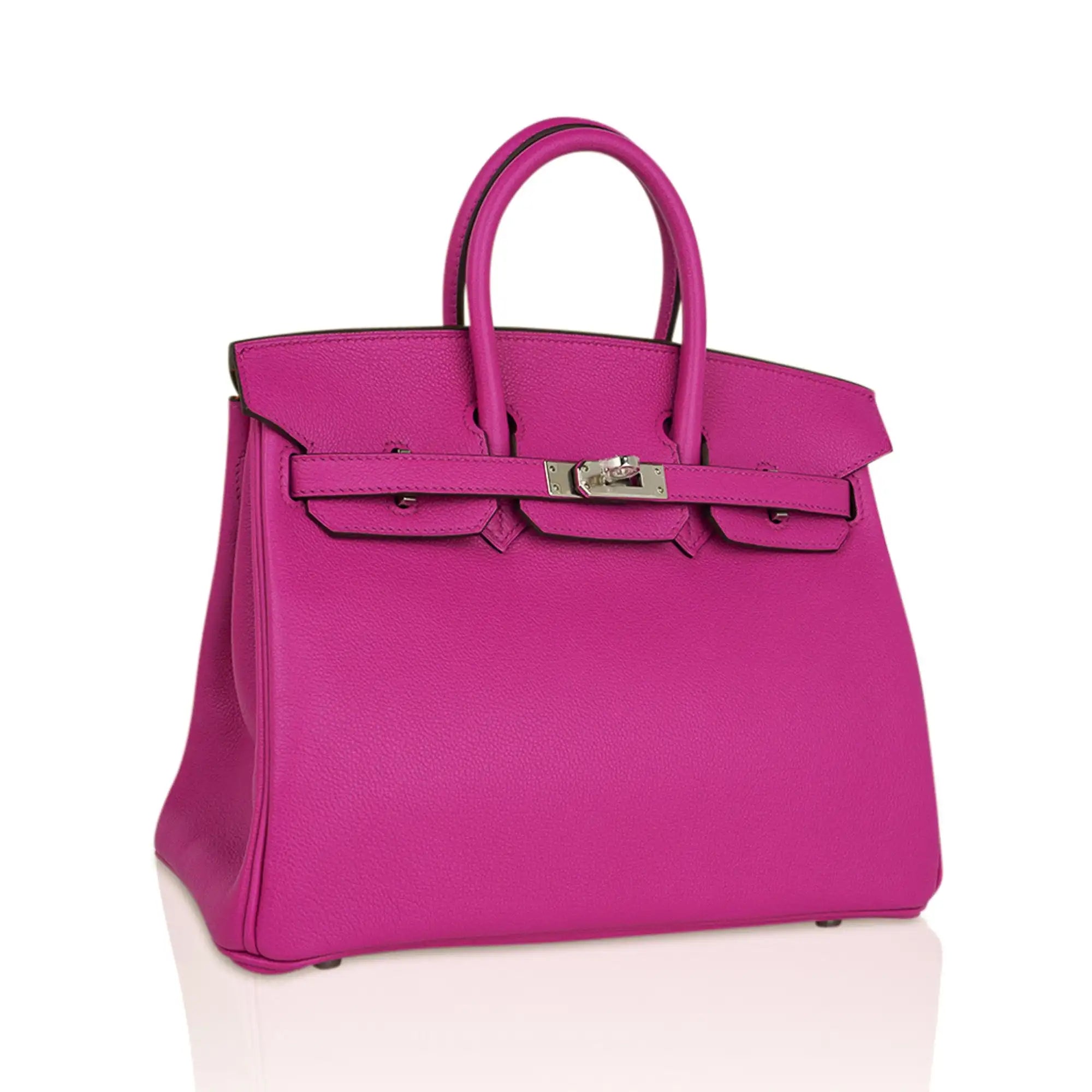 Birkin 25 Bag Magnolia Togo Leather with Palladium Hardware