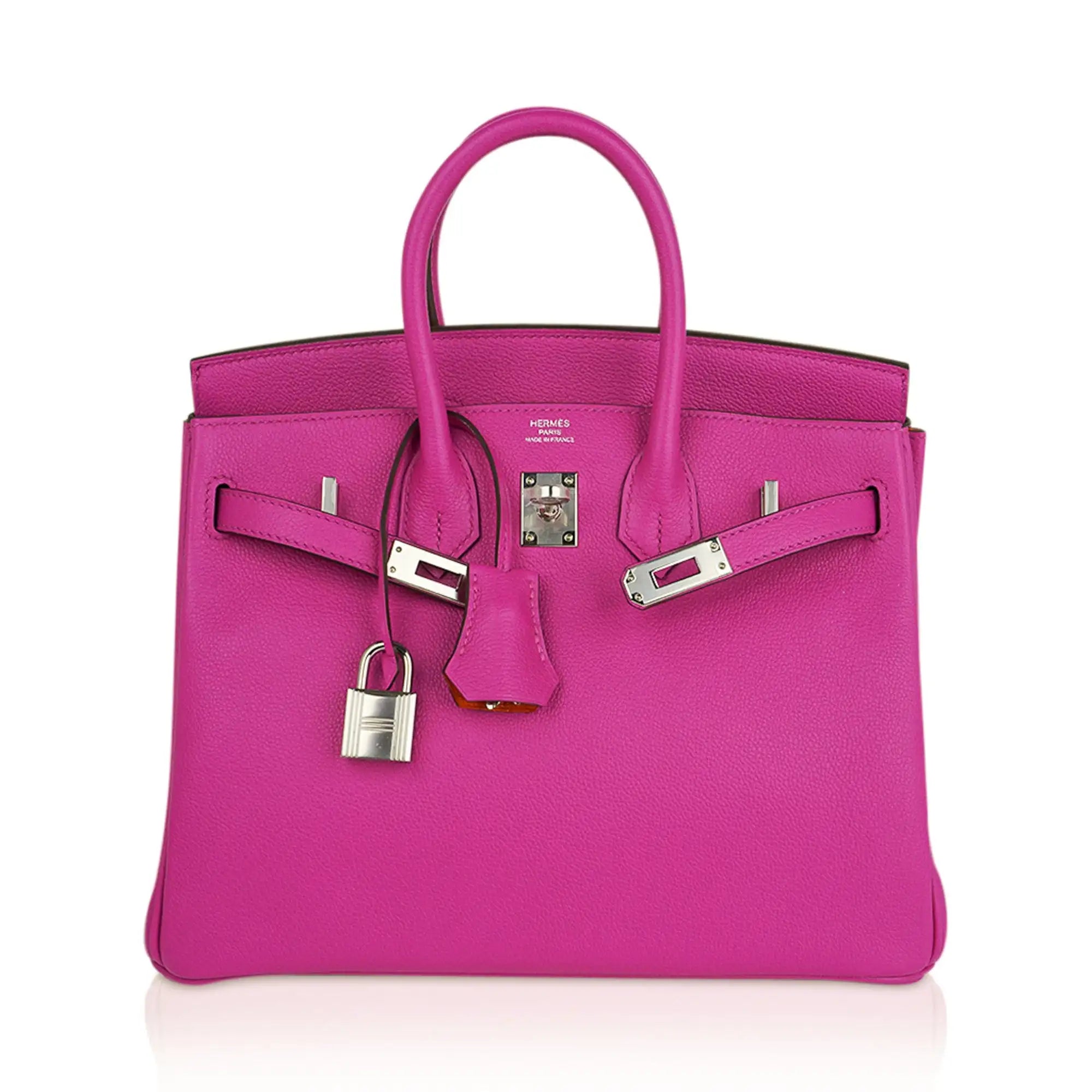 Birkin 25 Bag Magnolia Togo Leather with Palladium Hardware