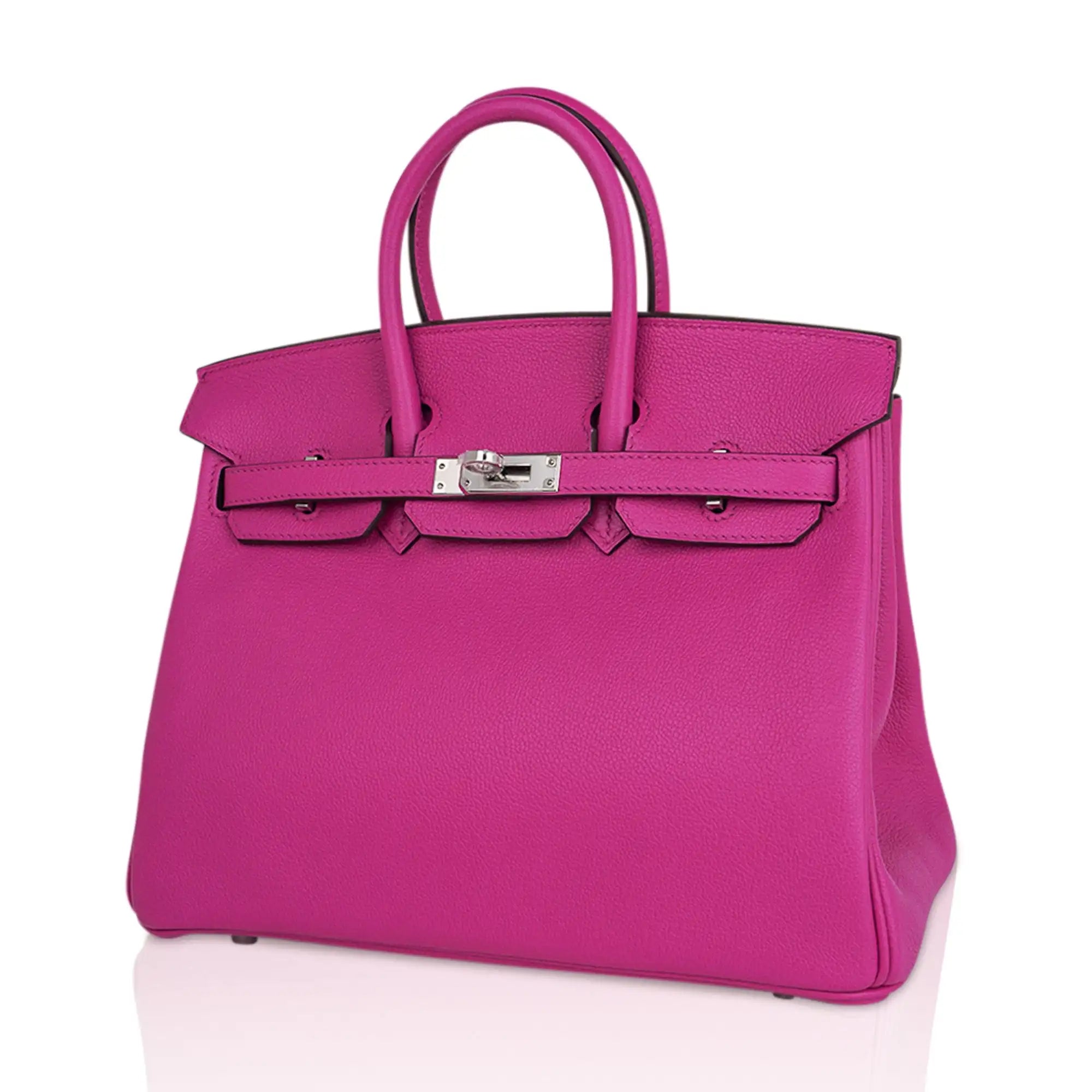 Birkin 25 Bag Magnolia Togo Leather with Palladium Hardware
