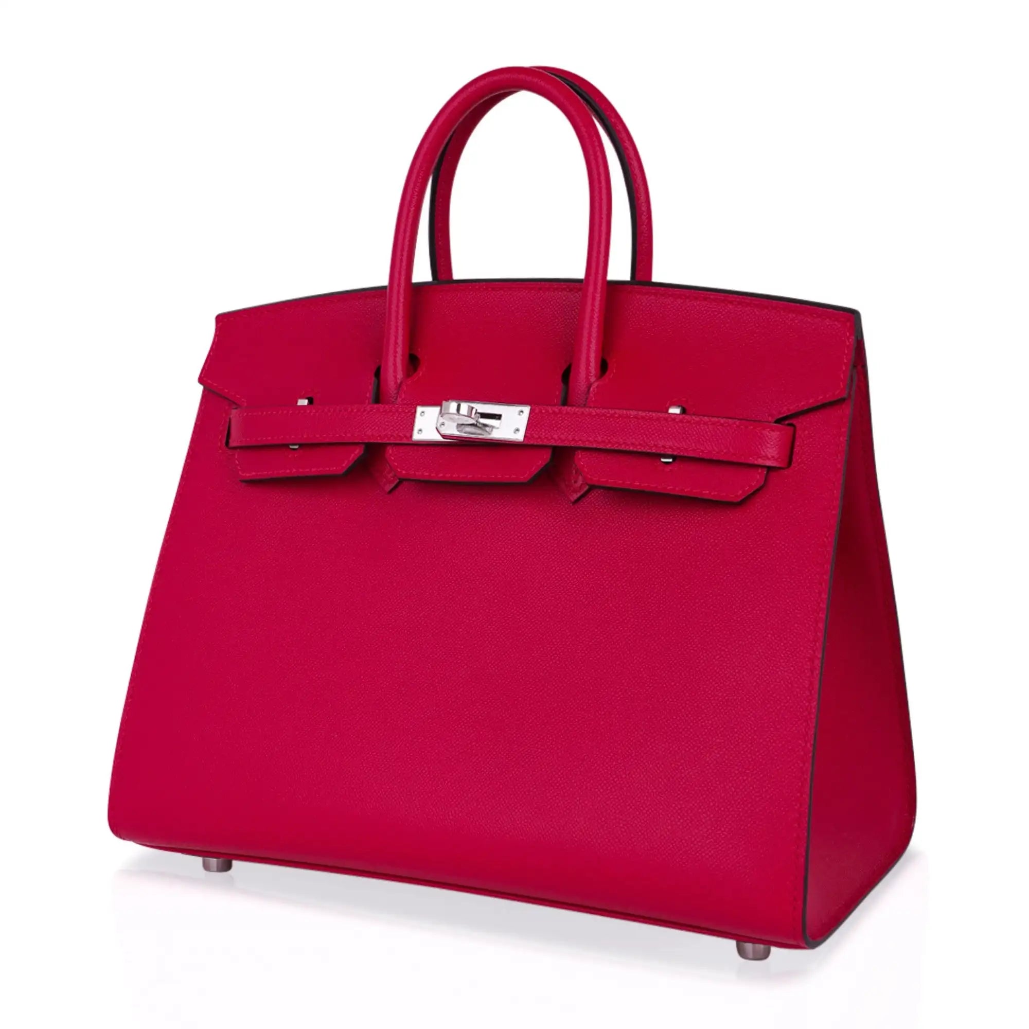 Birkin 25 Bag Sellier with Palladium Hardware