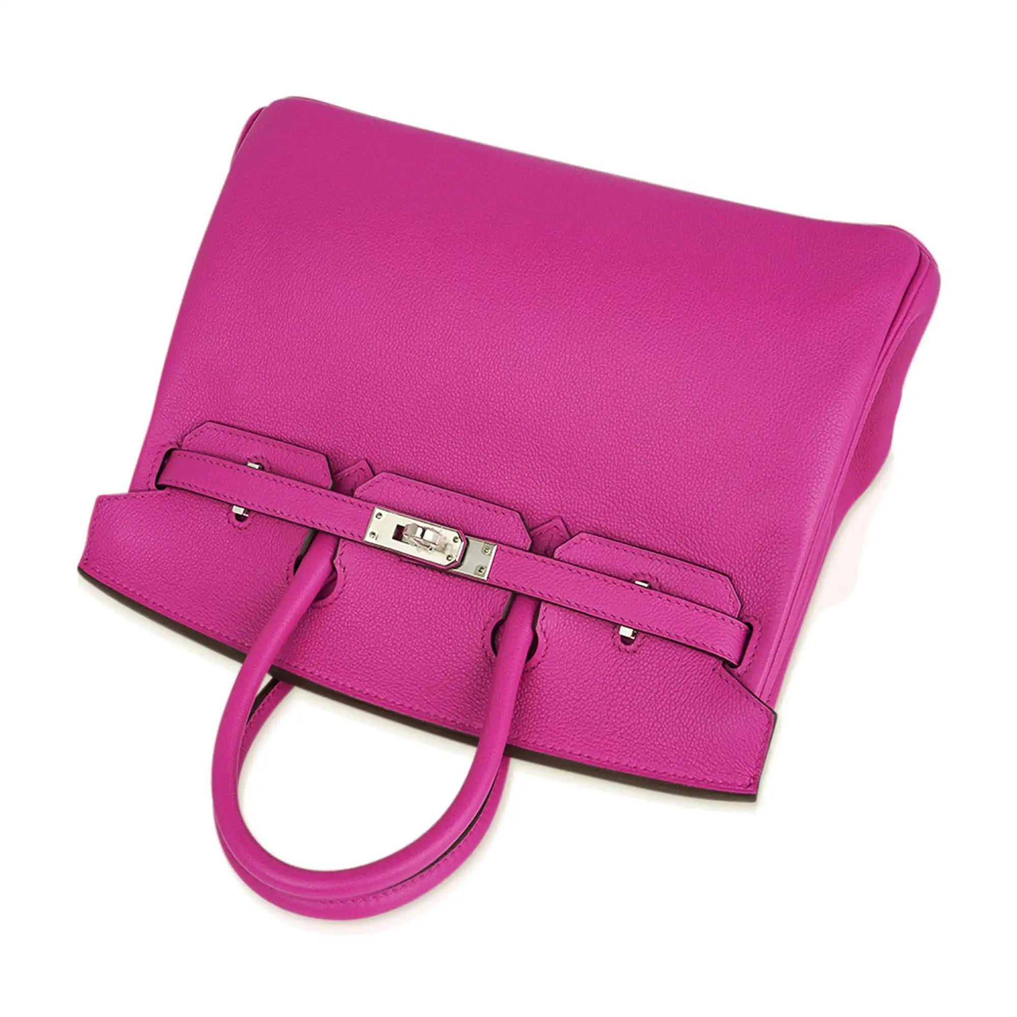 Birkin 25 Bag Magnolia Togo Leather with Palladium Hardware
