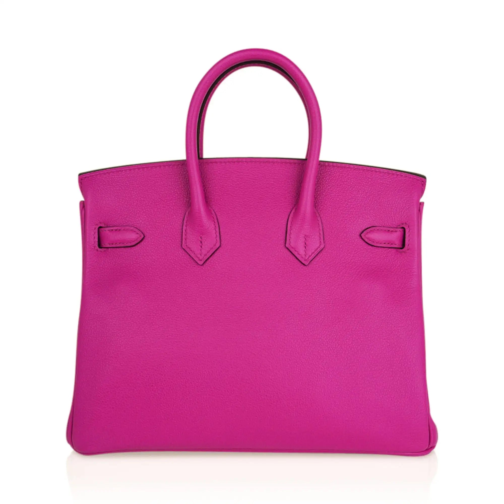 Birkin 25 Bag Magnolia Togo Leather with Palladium Hardware
