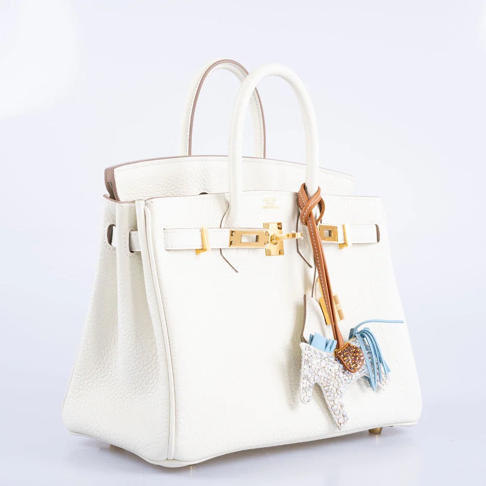 BIRKIN 25 MUSHROOM TOGO GOLD HARDWARE