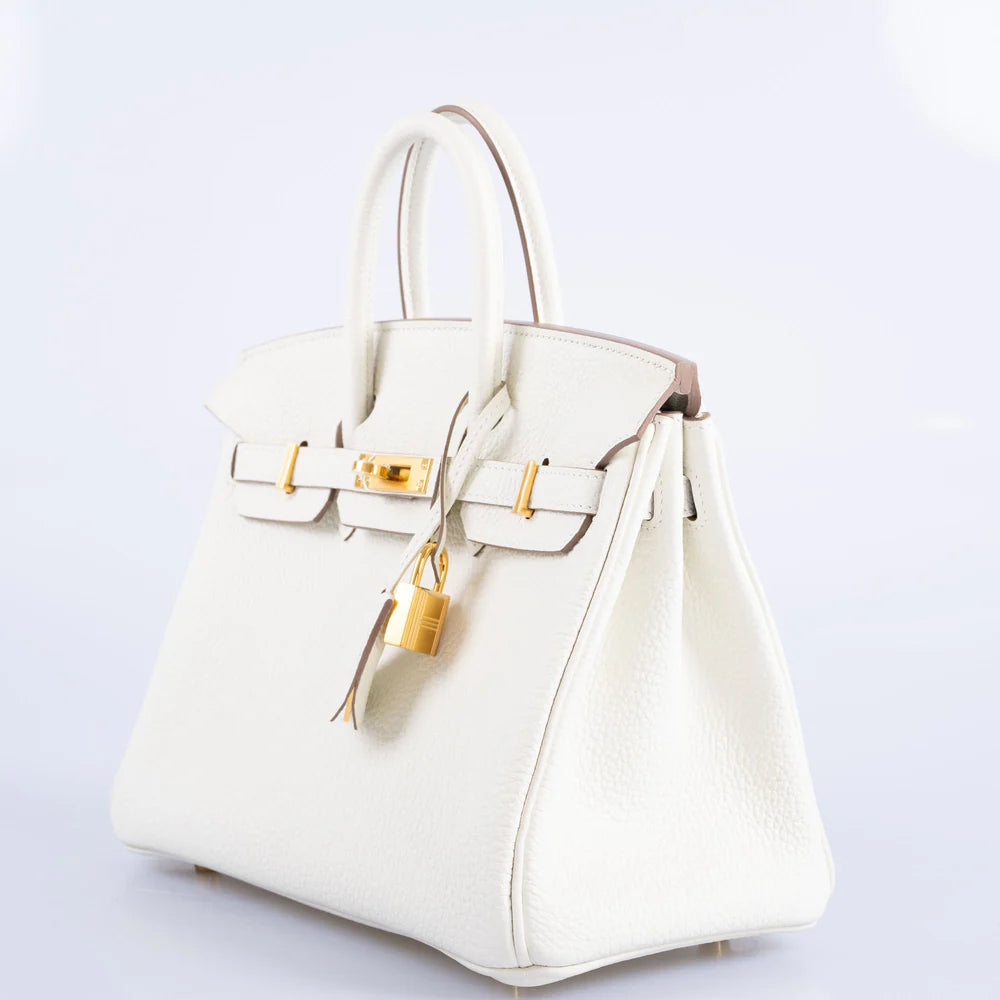 BIRKIN 25 MUSHROOM TOGO GOLD HARDWARE