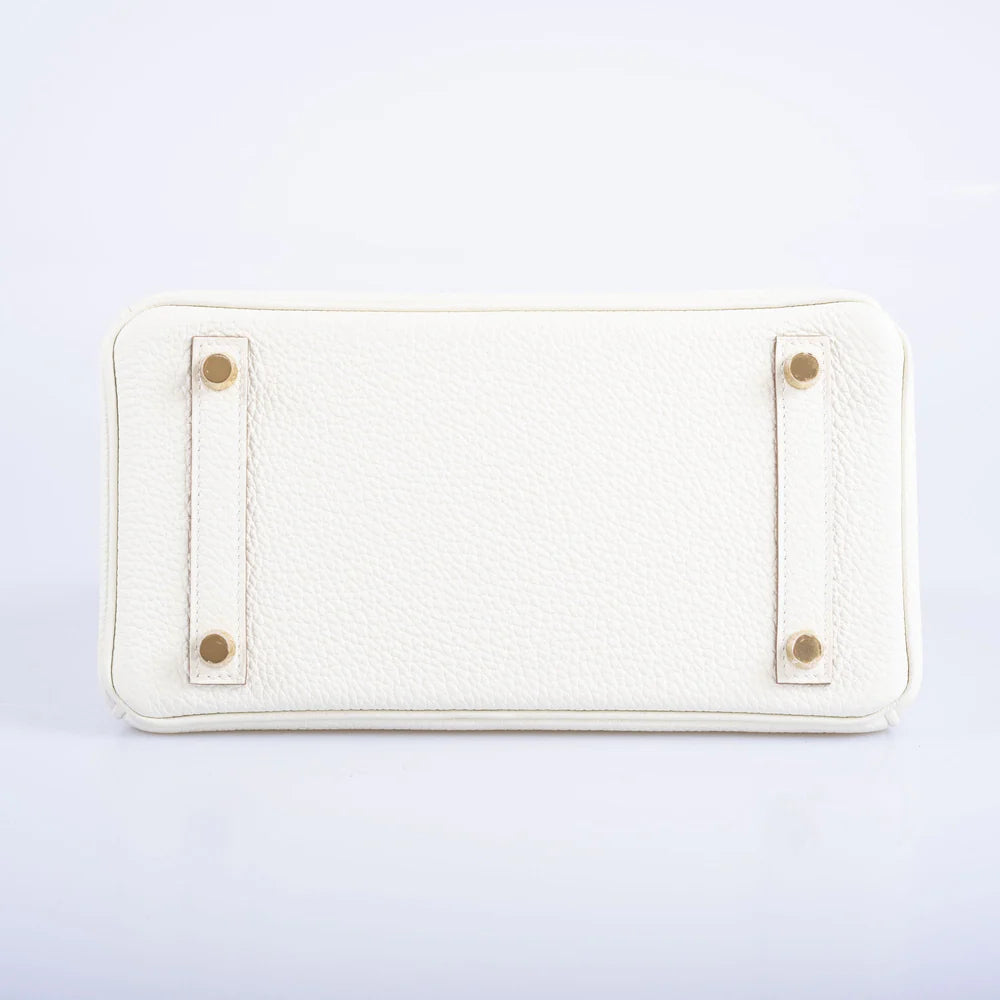 BIRKIN 25 MUSHROOM TOGO GOLD HARDWARE