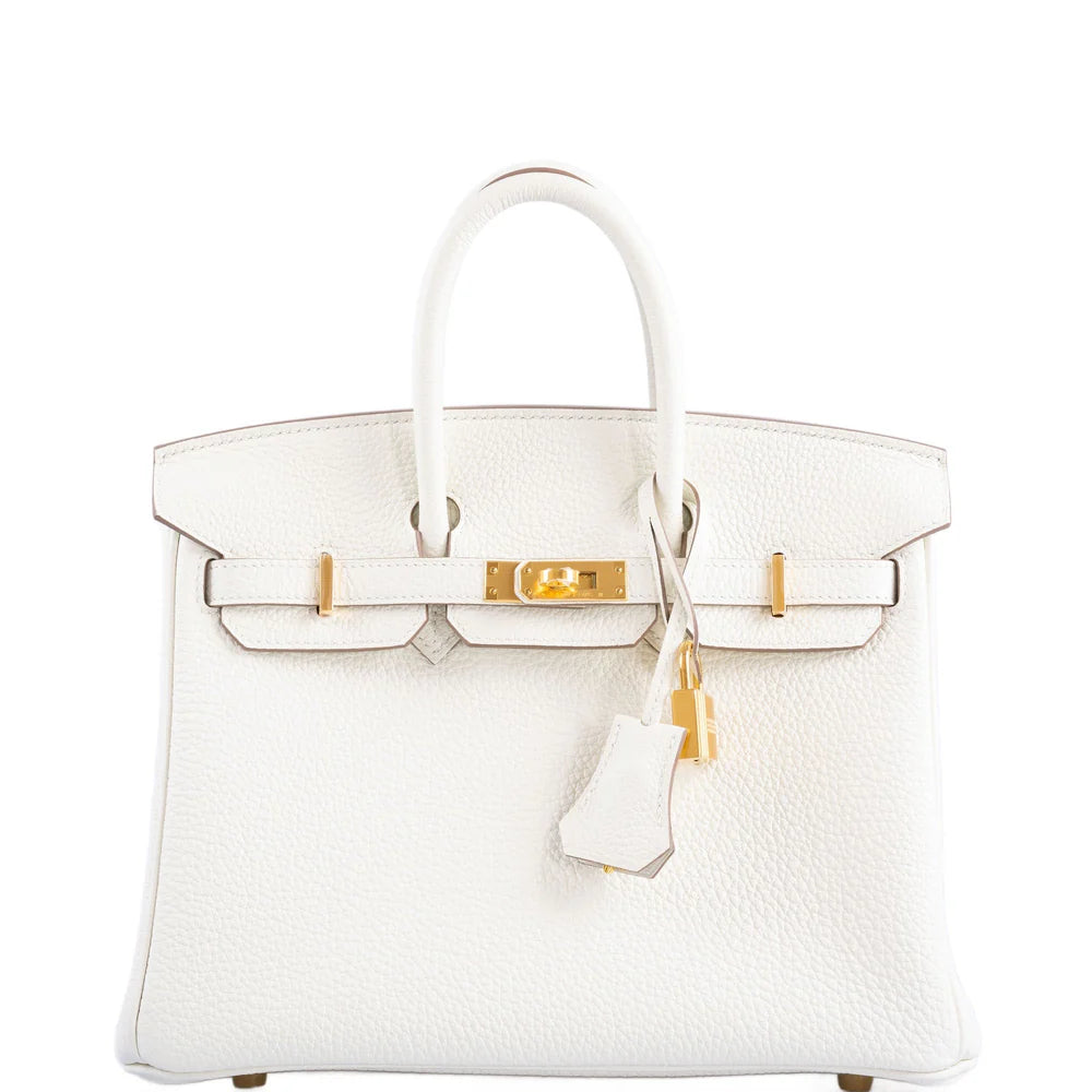 BIRKIN 25 MUSHROOM TOGO GOLD HARDWARE