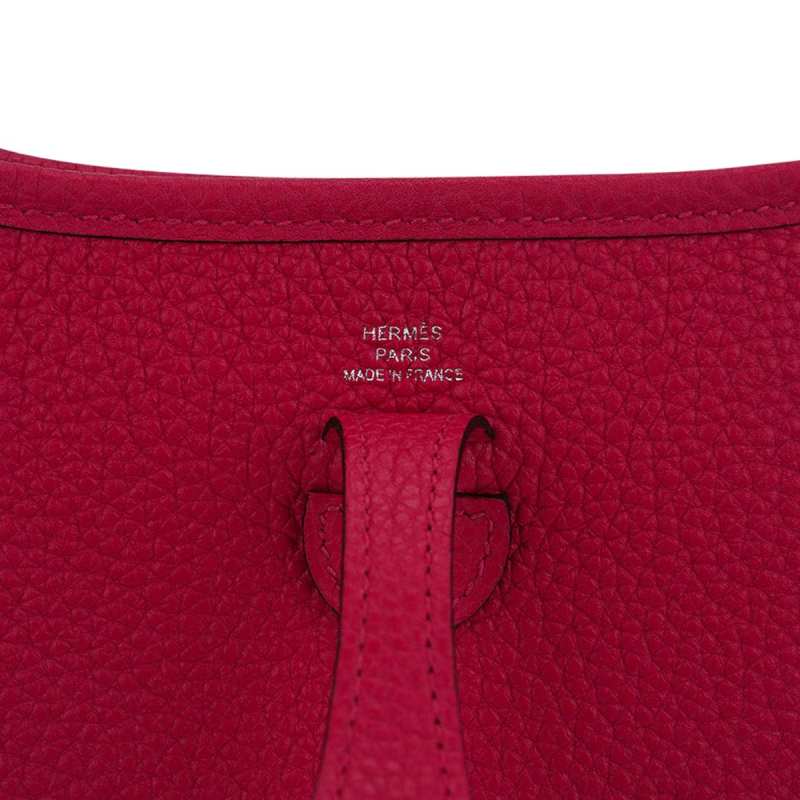 Mini Evelyne III TPM Bag Framboise Clemence Leather with Palladium Hardware