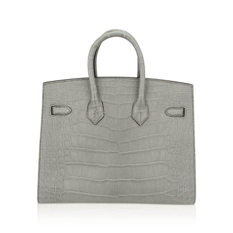 Birkin 25 Bag Gris Ciment Matte Alligator with Gold Hardware