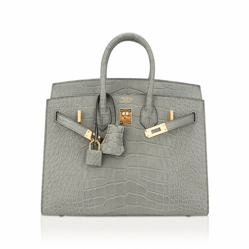 Birkin 25 Bag Gris Ciment Matte Alligator with Gold Hardware