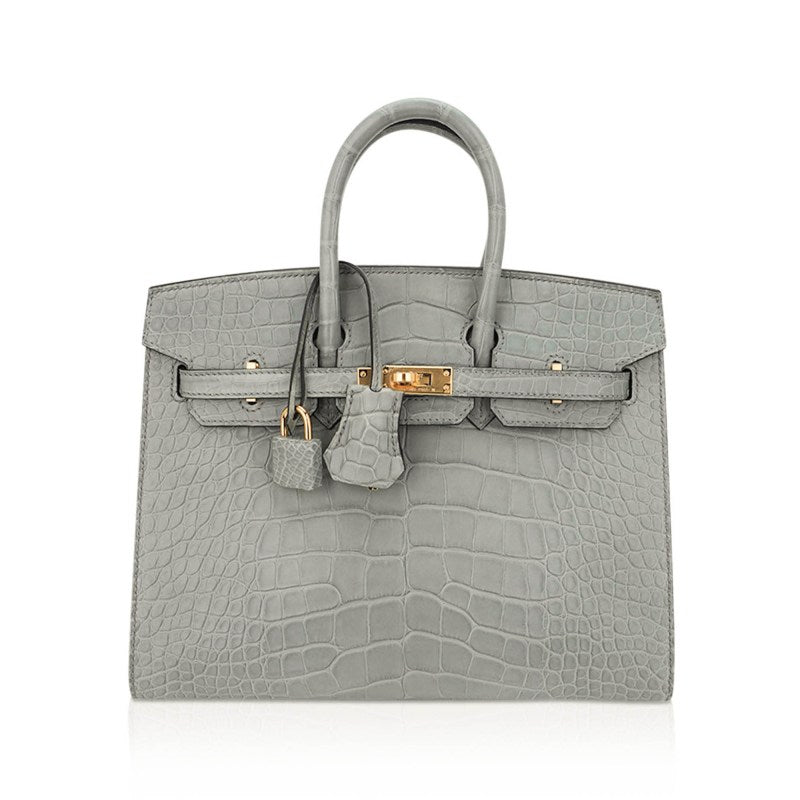 Birkin 25 Bag Gris Ciment Matte Alligator with Gold Hardware
