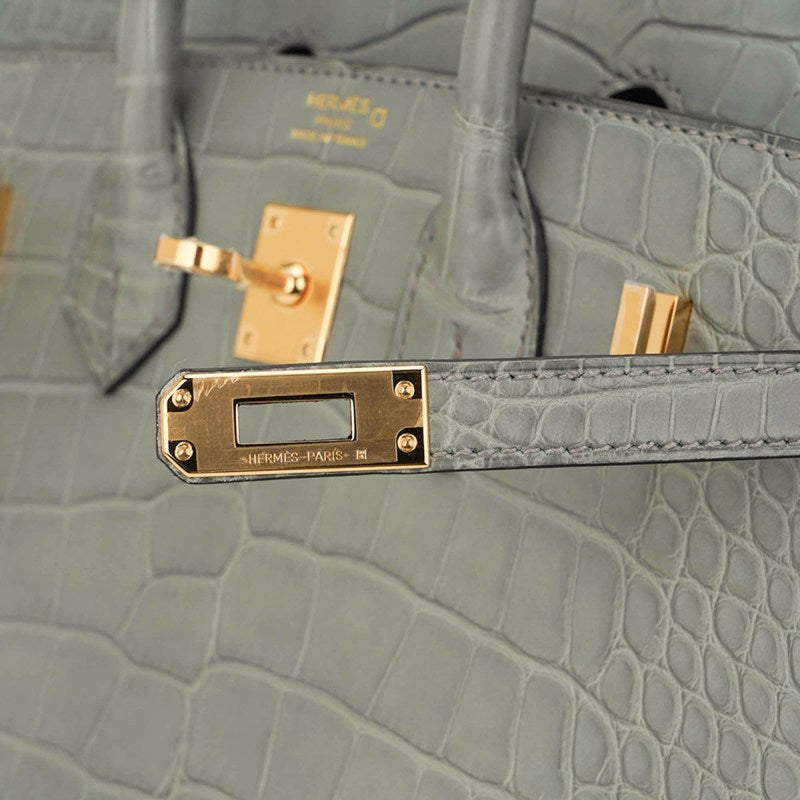 Birkin 25 Bag Gris Ciment Matte Alligator with Gold Hardware