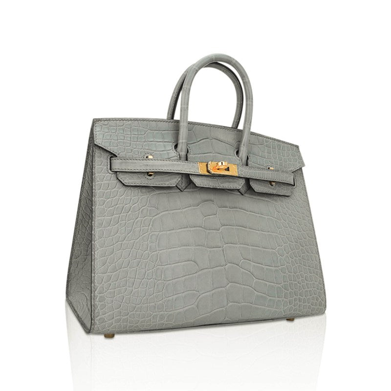 Birkin 25 Bag Gris Ciment Matte Alligator with Gold Hardware