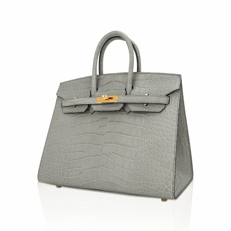 Birkin 25 Bag Gris Ciment Matte Alligator with Gold Hardware