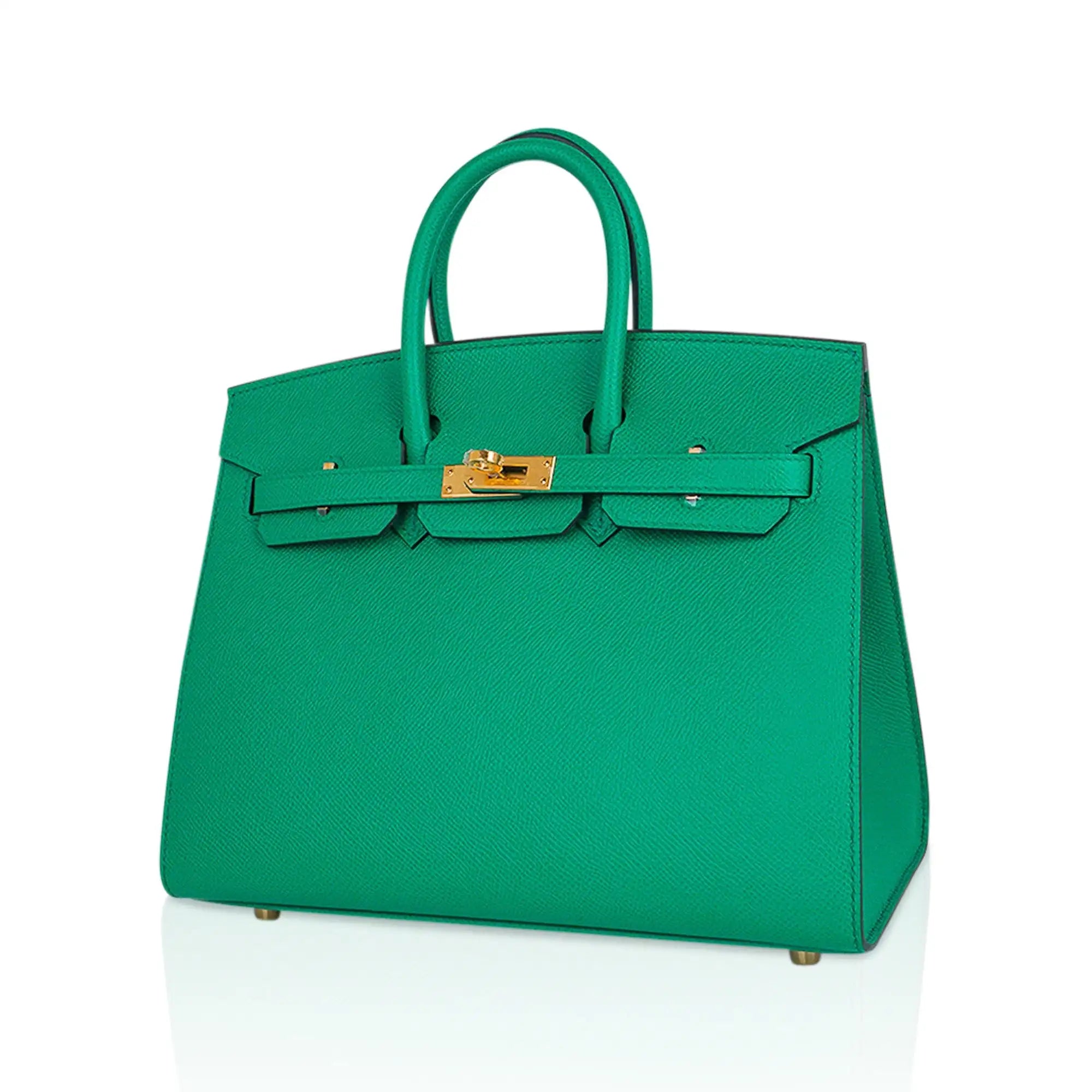 Hermes Birkin 25 Bag Sellier Epsom Leather with Gold Hardware