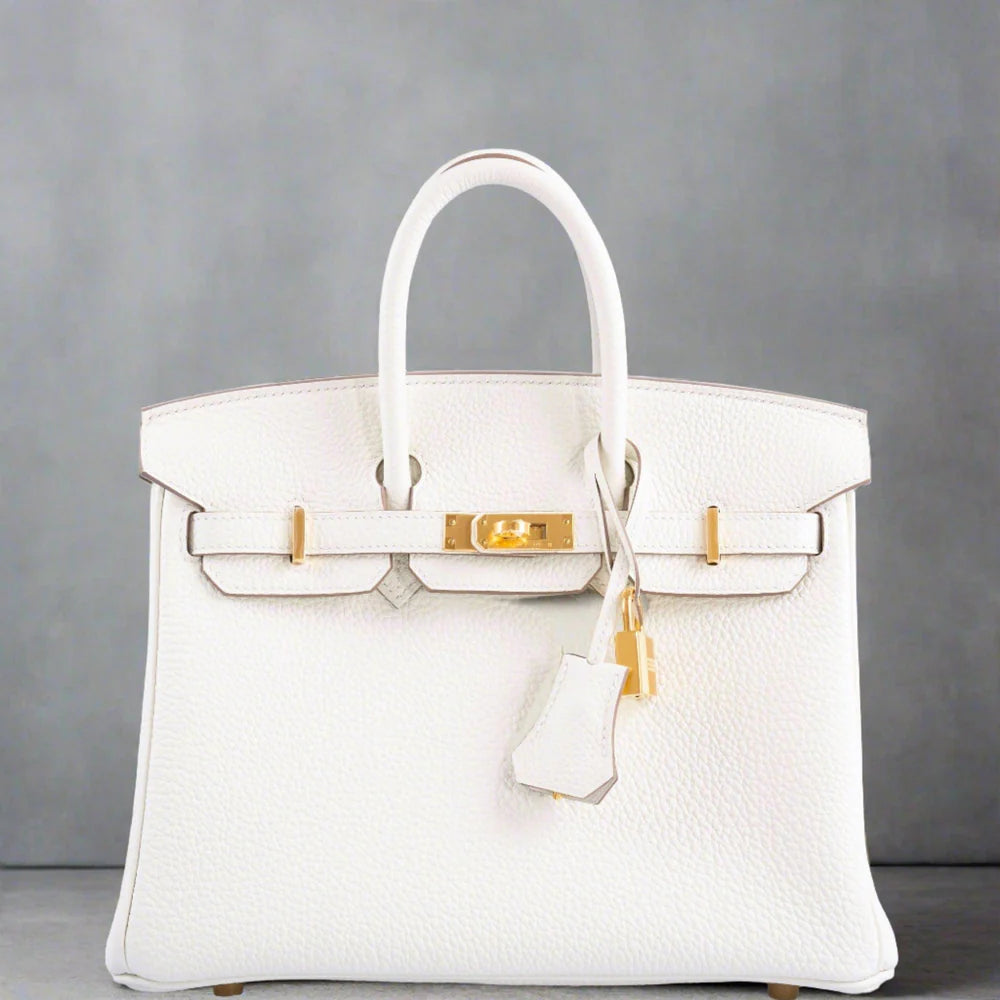 HERMÈS BIRKIN 25 MUSHROOM TOGO GOLD HARDWARE