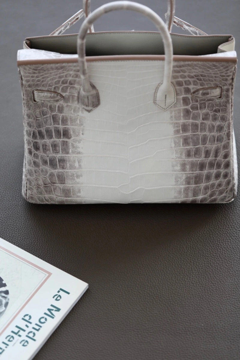 Hermes Birkin Himalayan Alligator Natural Leather