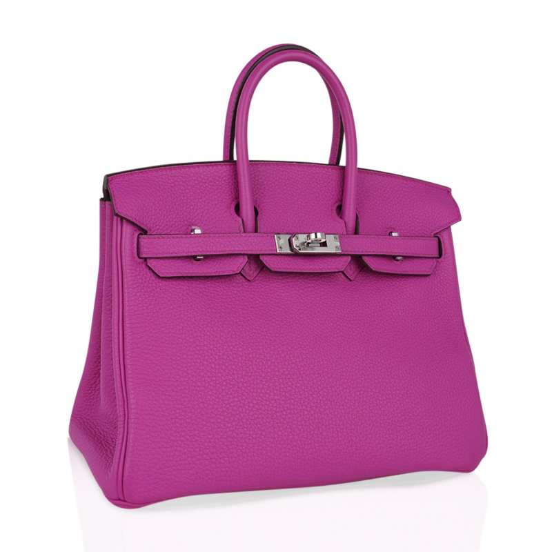 Hermes Birkin 25 Bag Magnolia Togo Palladium Hardware